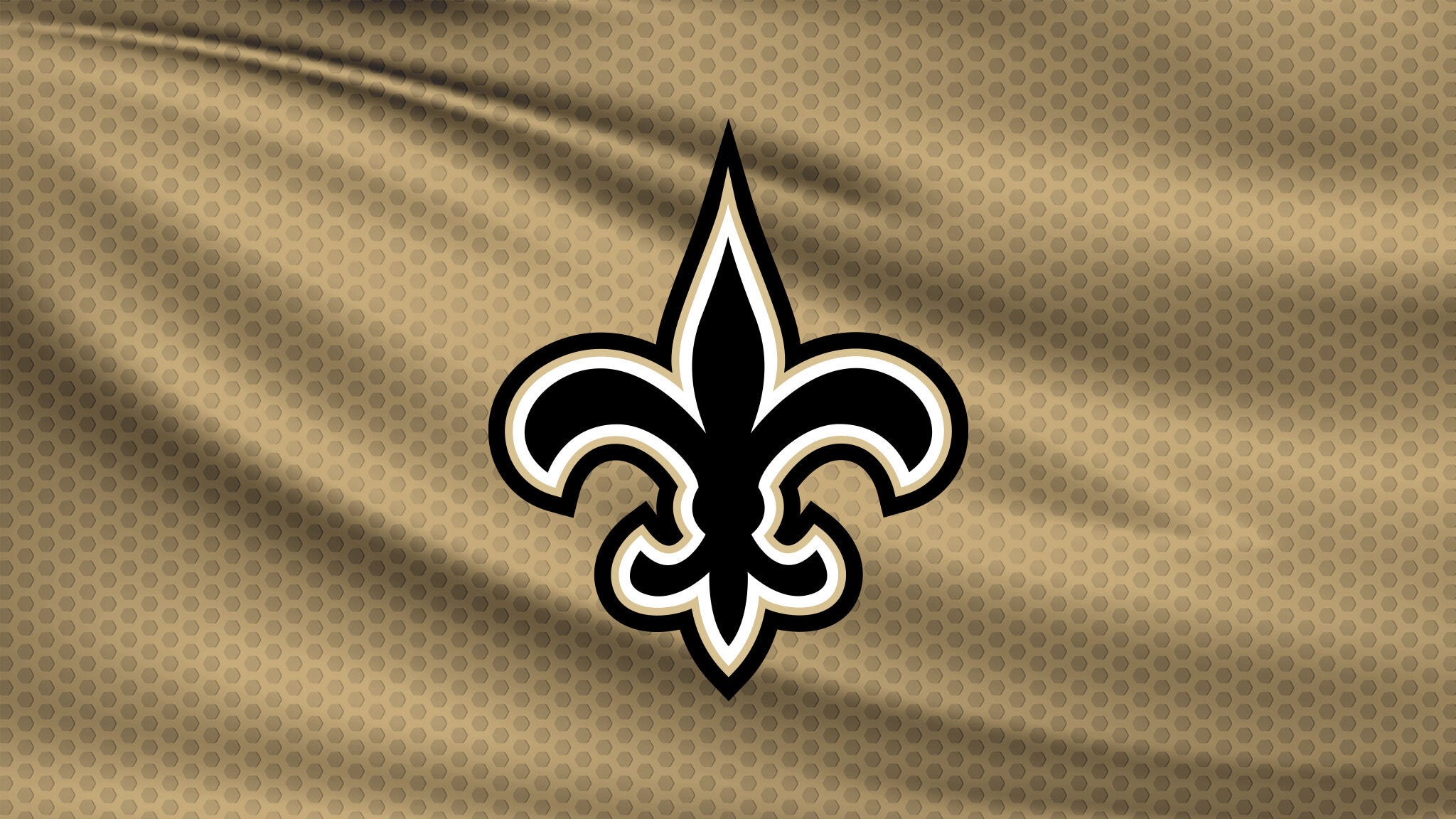 New Orleans Saints v Cleveland Browns