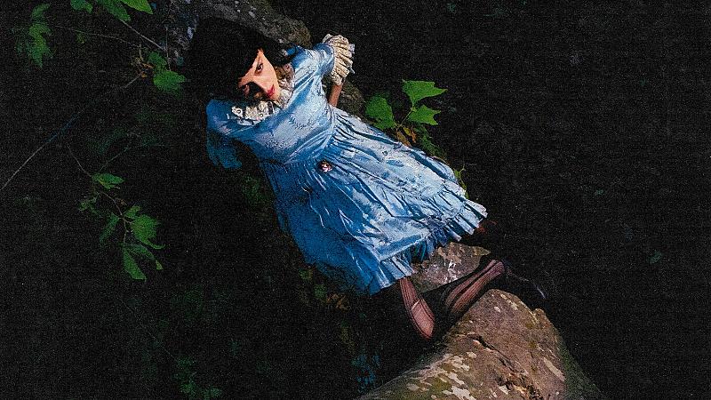 Not For Radio - A Summer In The Forest: North American Tour