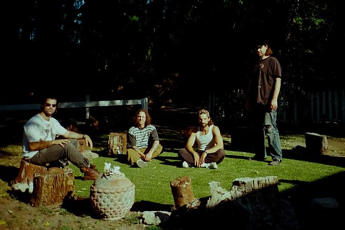 Turnover w/ Narrow Head