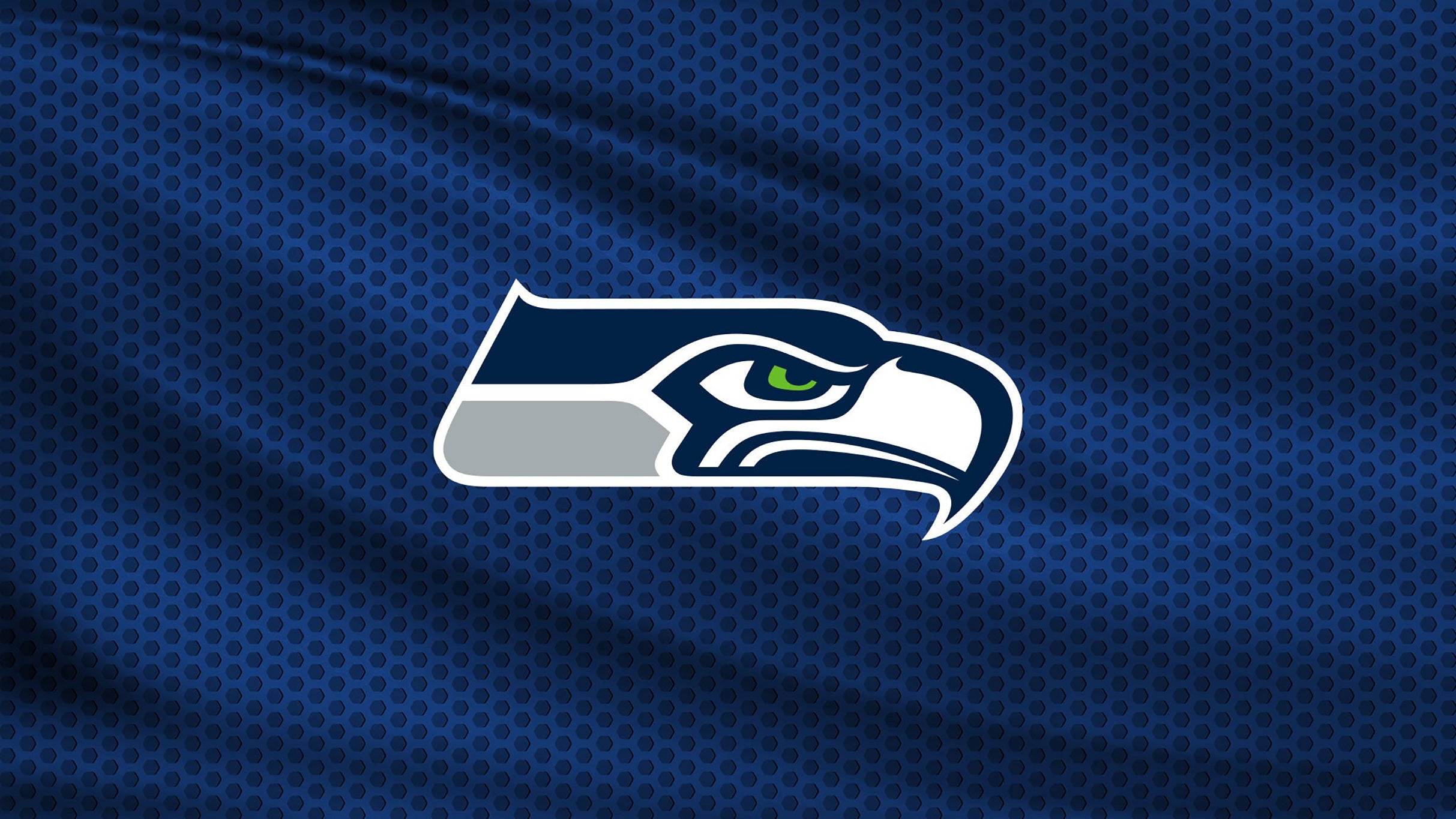 Seattle Seahawks vs. New England Patriots