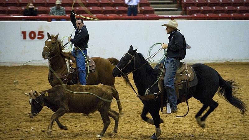 Stockyards Championship Rodeo