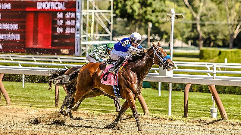 Saratoga Race Course Fourstardave Tables