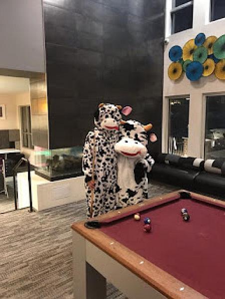 Square Cow Movers
