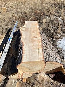 Arborist Prime LLC