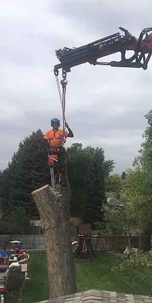 Arborist Prime LLC