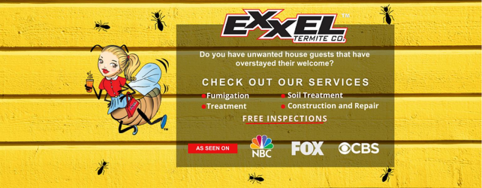 Exxel Termite