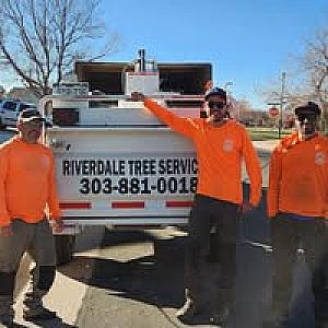 Riverdale Tree Services