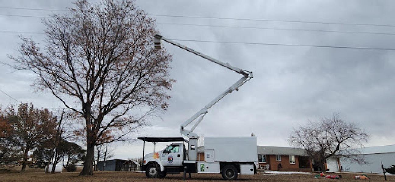 Riverdale Tree Services