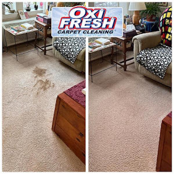 Oxi Fresh Carpet Cleaning