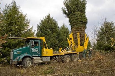The Davey Tree Expert Company