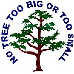 Matt's Maintenance Tree Service