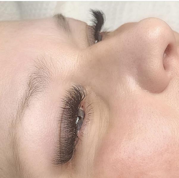 Maine Brow Andlash