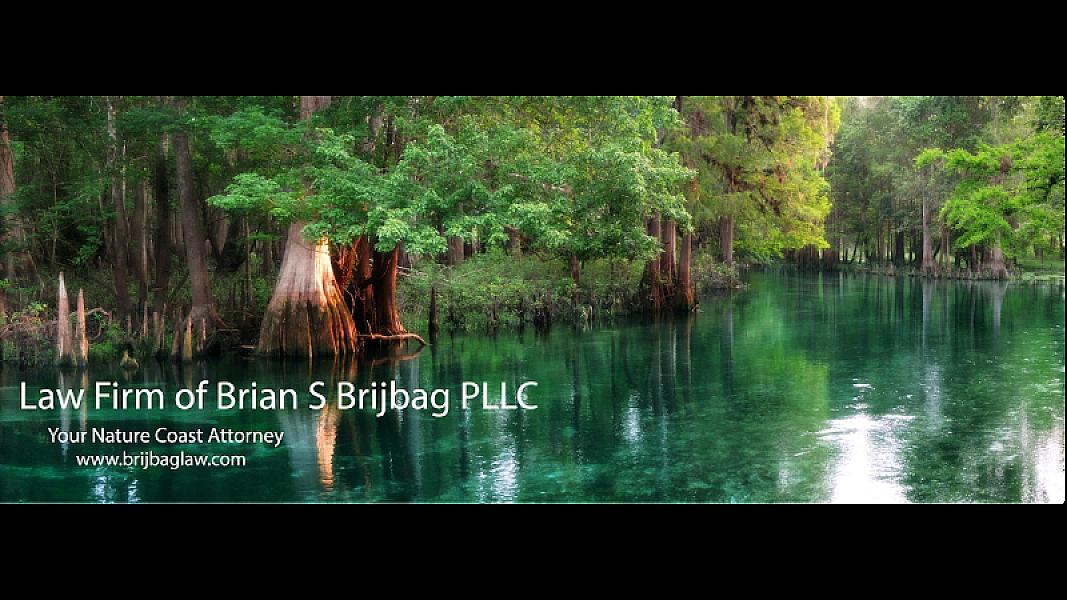 Brijbag Law